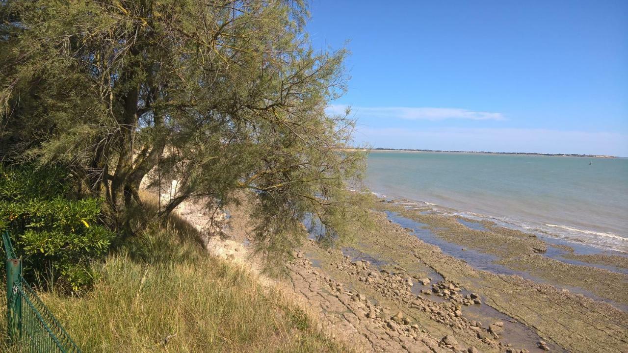 Le Carre Appartement La Rochelle  Buitenkant foto